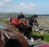 Inishmore Cap