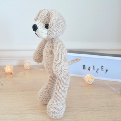 Bailey Dog
