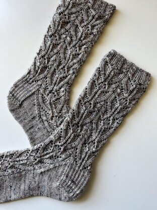 Tillandsia Socks.