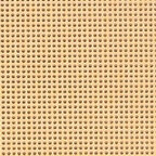 Cantaloupe