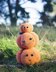 Cute Pumpkin Family