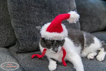 Cat Santa Hat