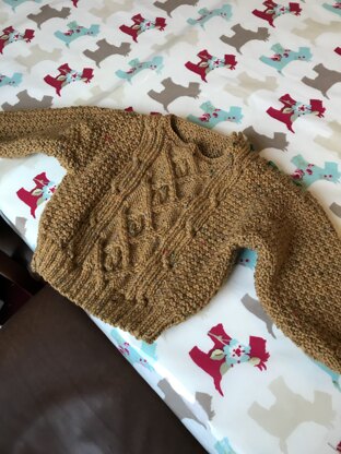 Baby Poonam Sweater in Berroco Comfort DK