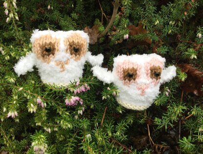 Little Fluffy Owls