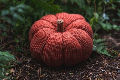 Pumpkin in Deramores Studio Chunky - Downloadable PDF