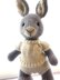 Elderberry Bunny and Outfits