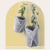 Tamarisk Hanging Planter