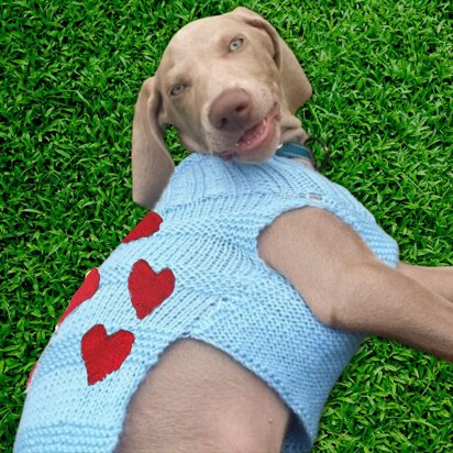 Valentine Heart Dog Jumper - knitting pattern
