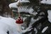 Tiny Toadstools Ornament & Garland