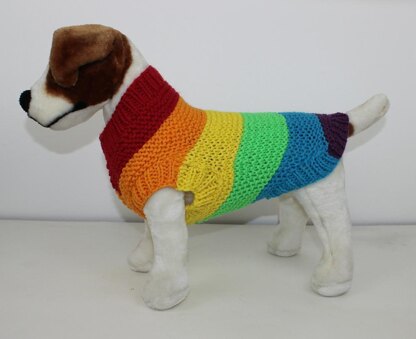 Chunky Spectrum Dog Coat