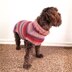 Easy-Peasy Pup Knit