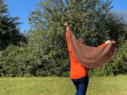 Eastvale Shawl