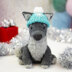Universal Yarn Hubble the Winter Wolf Kit