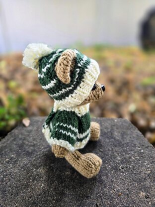 School Spirit Outfit & Bear