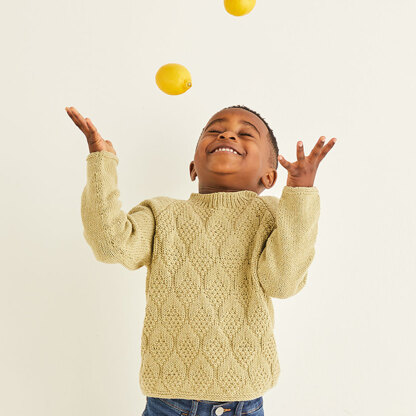 Sirdar 2564 Citrus Slice Tops in Snuggly Replay PDF