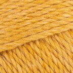 Maize (178X)