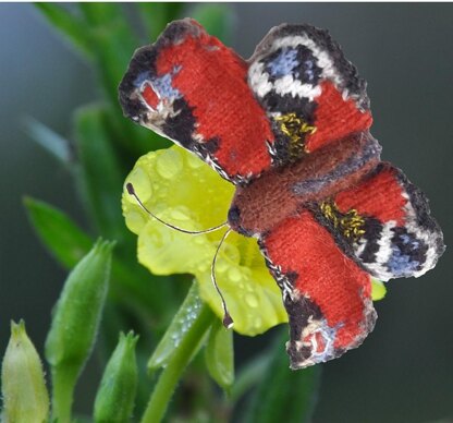 A Flutter of Butterflies