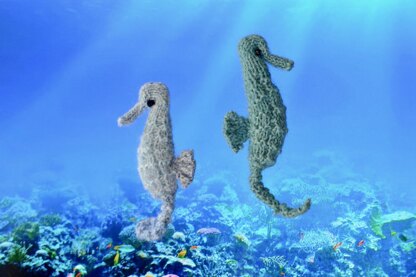 Seahorse