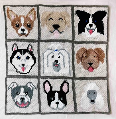 C2C Border Collie / Australian Shepard Dog Blanket Square