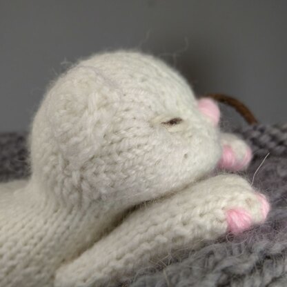 Kitten knitting pattern