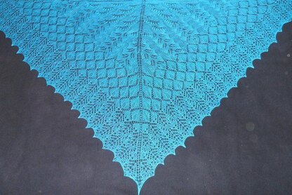 Four Seasons Lace Shawl