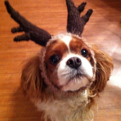 ROFL Dog Antlers - knitting pattern