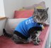 Designer Dog Coat and Cat Coat