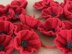 Poppy Flower