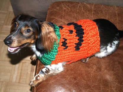 Jack-O-Lantern Dog Sweater in Lion Brand Hometown USA - L32211