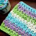 Pankh dishcloth