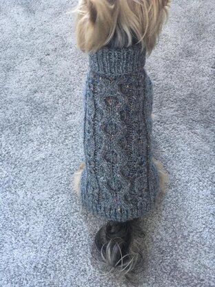 Slate Dog Sweater