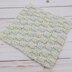 Eastview Dishcloth