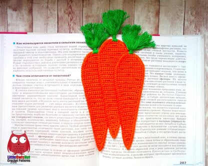 322 Carrot decor or bookmark