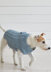 Denim Coat - Dog Jumper Knitting Pattern For Pets in Debbie Bliss Cotton Denim DK by Debbie Bliss