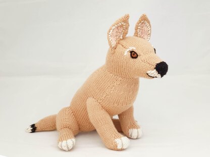 Australian Dingo Puppy