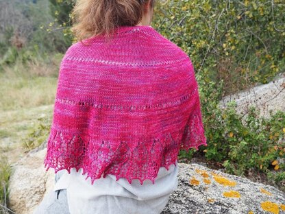 Edelwicke Shawl