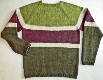 Top Down Raglan Pullover 415