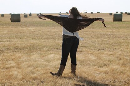 Amarillo Long