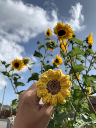 My Crochet Sunflower