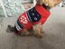 Nordic Dog Sweater