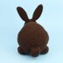 Dutch rabbit