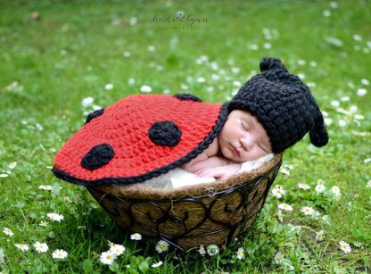 Ladybug Newborn Set Photo Prop Pattern
