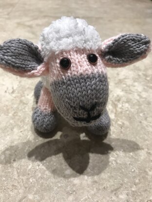 Sheep for Ewe