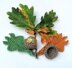 Acorn Cup & Oak Leaf - Ferrero Rocher Chocolate Covers