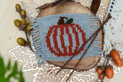 Pumpkin Mug Rug Knit