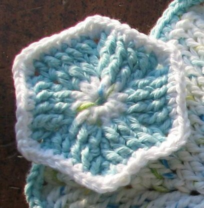 FPdc Scrubby & Dishcloth