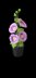 Crochet Hollyhocks flowers