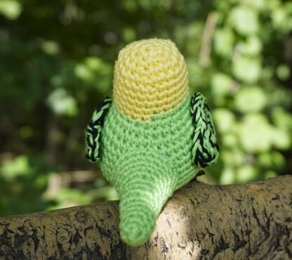 Crochet Pattern Budgie Baby Kiwi!