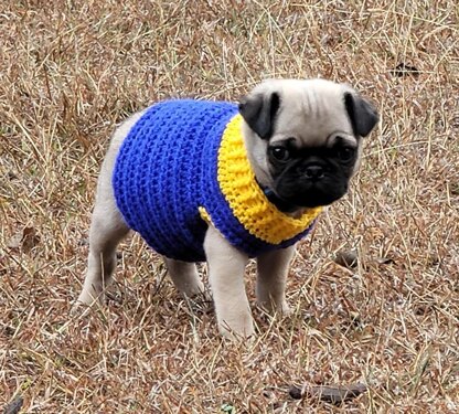 Puppy sweater