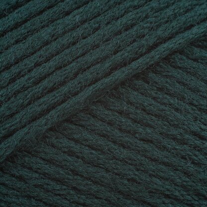 Spruce (9762)